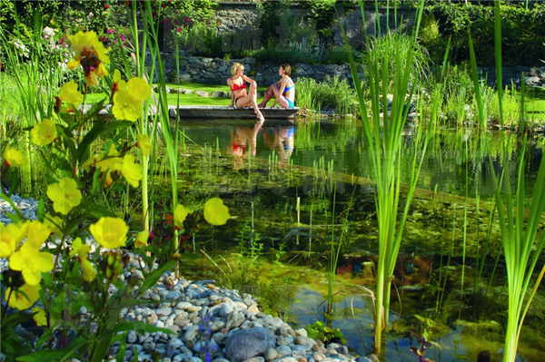 生态过滤方式 生态过滤方式
