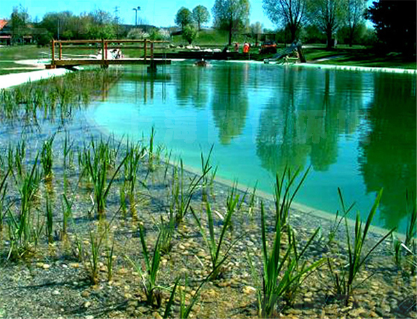 生态过滤方式 生态过滤方式