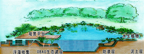 生态过滤方式 生态过滤方式