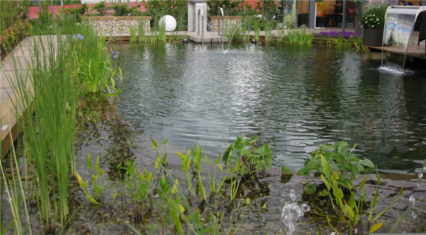 生态过滤方式 生态过滤方式