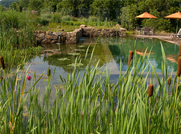 生态过滤方式 生态过滤方式