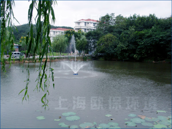 南京工业大学,人工湖治理,浮水喷泉,浮水喷泉曝气机