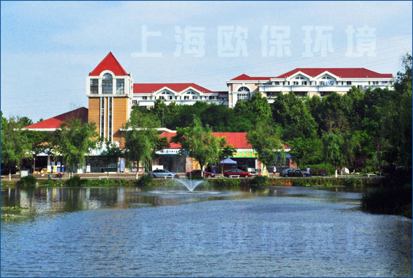 南京工业大学,人工湖治理,浮水喷泉,浮水喷泉曝气机