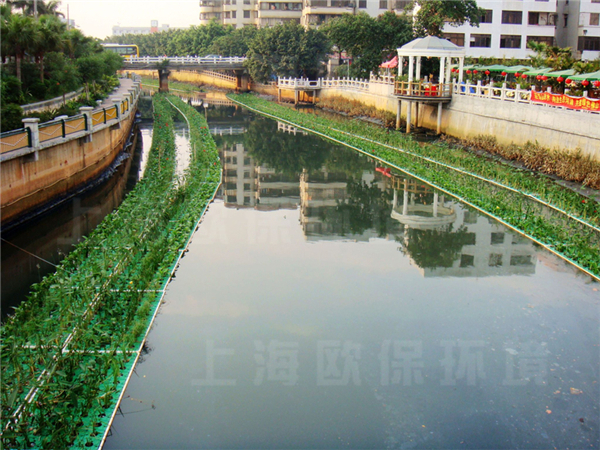 抗风浪生态浮岛种植初期，水体呈现灰褐色