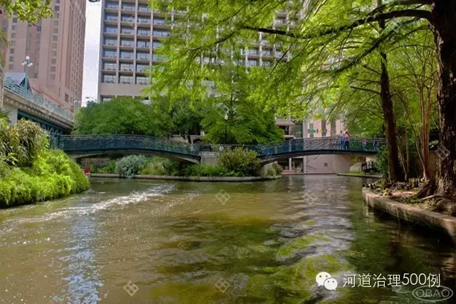 排污口湿生环境改造 排污口湿生环境改造