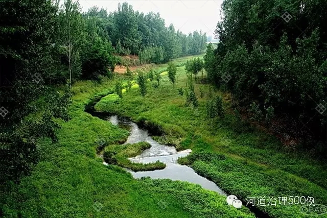 恢复自然河流原有的低水路