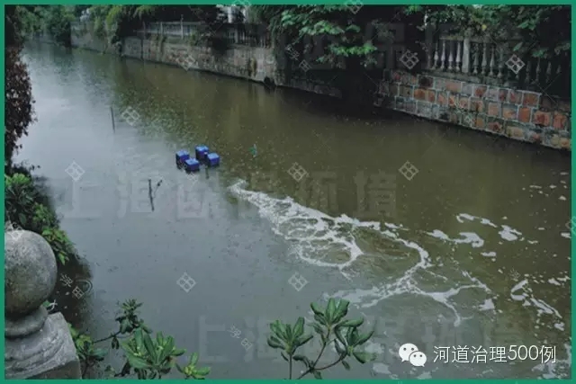 强力造流曝气机运行实况