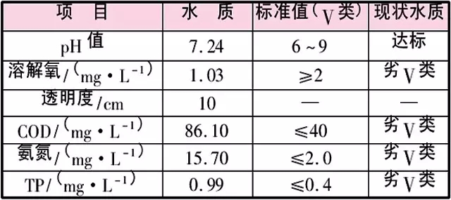 虾龙圩治理段水质监测结果与分析