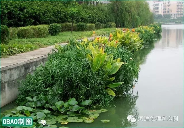 浮田型生态浮岛构建沿河植物景观净水带