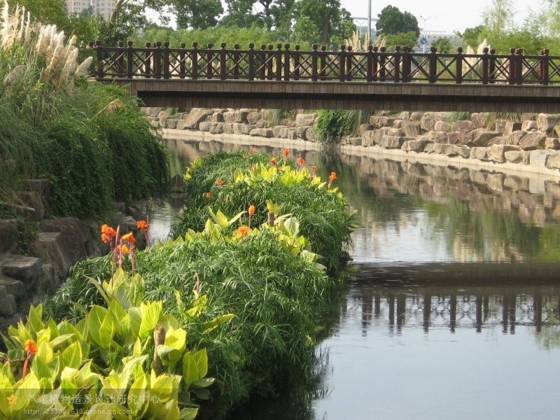 河道再现水清岸绿&mdash;&mdash;盖尾镇芹林溪加强整治促水质提升