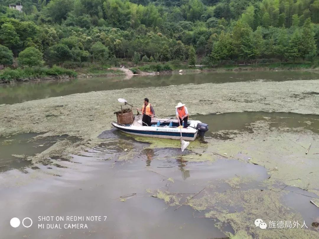 人工打捞蓝藻白沙水库