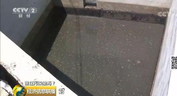 27 一家海带厂多个排污口黑臭水入渤海 27 一家海带厂多个排污口黑臭水入渤海