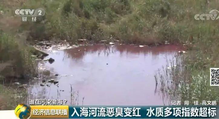 32 入海河流黑臭变红水质多项指数超标 32 入海河流黑臭变红水质多项指数超标