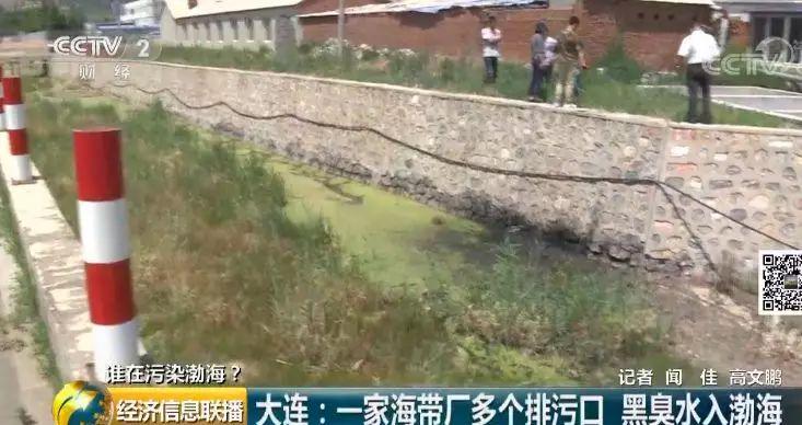 25 一家海带厂多个排污口黑臭水入渤海 25 一家海带厂多个排污口黑臭水入渤海