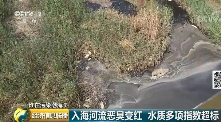 33 入海河流黑臭变红水质多项指数超标 33 入海河流黑臭变红水质多项指数超标