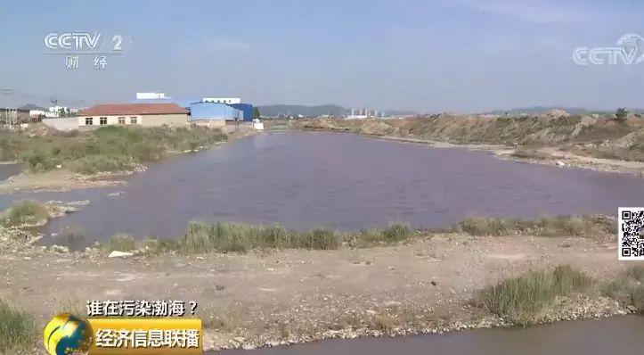 31 入海河流黑臭变红水质多项指数超标 31 入海河流黑臭变红水质多项指数超标