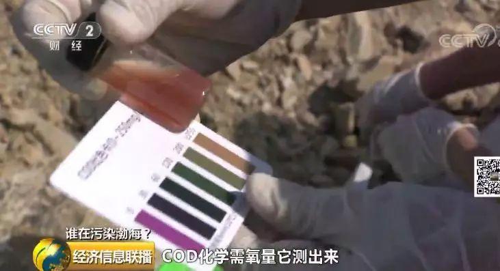 35 入海河流黑臭变红水质多项指数超标 35 入海河流黑臭变红水质多项指数超标