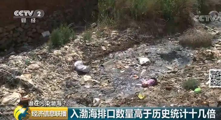 36 入海河流黑臭变红水质多项指数超标 36 入海河流黑臭变红水质多项指数超标