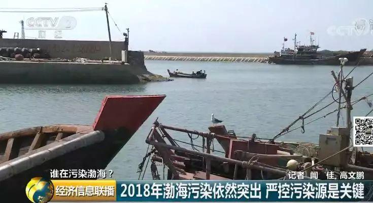 12 渤海污染依然突出严控污染源是关键 12 渤海污染依然突出严控污染源是关键