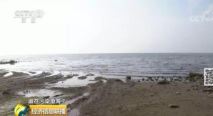 13 渤海污染依然突出严控污染源是关键 13 渤海污染依然突出严控污染源是关键