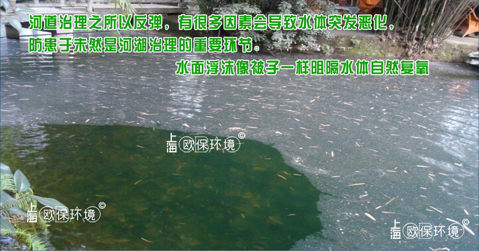 浮沫覆盖水面，像被子一样阻隔水体，导致水体容易黑臭