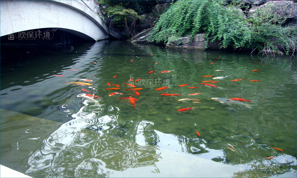 污水厂出水提标改造——生物强化脱氮，将一级A排水提高至地表IV标准，助力污水厂出水提标改造