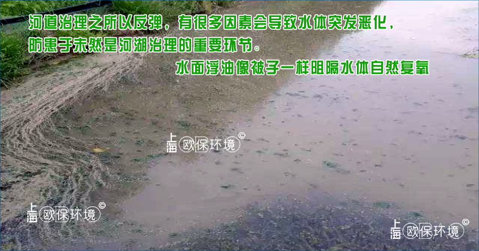 浮油覆盖最终阶段:水体由于长期缺氧,各种污染物上浮与浮油共同浮于水面,河道生态系统基本崩溃,水体发黑发臭,最终成为黑臭水体 浮油覆盖最终阶段:水体由于长期缺氧,各种污染物上浮与浮油共同浮于水面,河道生态系统基本崩溃,水体发黑发臭,最终成为黑臭水体