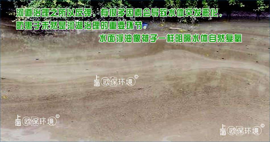 水面浮油密集,厚度较厚,像被子一样阻隔水体自然复氧,导致水体黑臭。 水面浮油密集,厚度较厚,像被子一样阻隔水体自然复氧,导致水体黑臭。