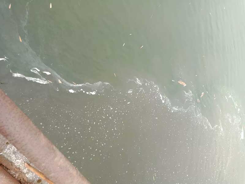 沉入水底的落叶,分解聚集其他污染物影响水体水质 沉入水底的落叶,分解聚集其他污染物影响水体水质