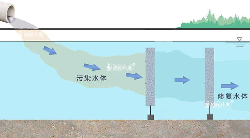 点源污染点的采用浸没式生物反应墙净水方式示意图