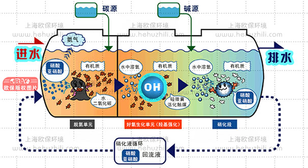 硅微囊活化触媒