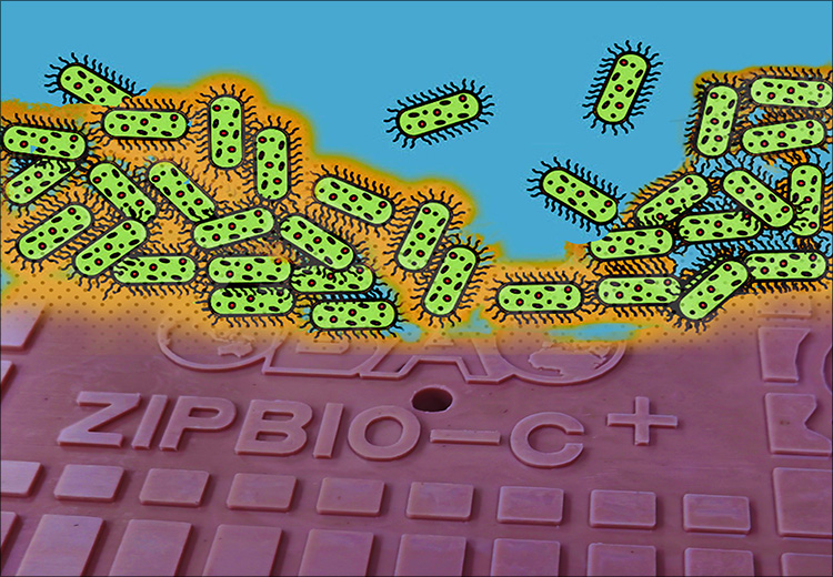 ZIPBIO-C生物倍增菌方（生物蜡块）
