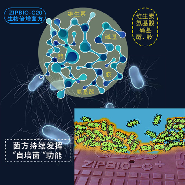 蓝藻治理-投加微生物