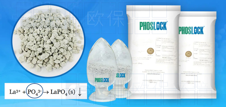 Phoslock®锁磷剂，全球案例超过300个，使用后总磷可降至0.01mg/L，达到地表I标准，该锁磷剂符合北美及欧洲饮用水源地NSF\ANSI60标准。