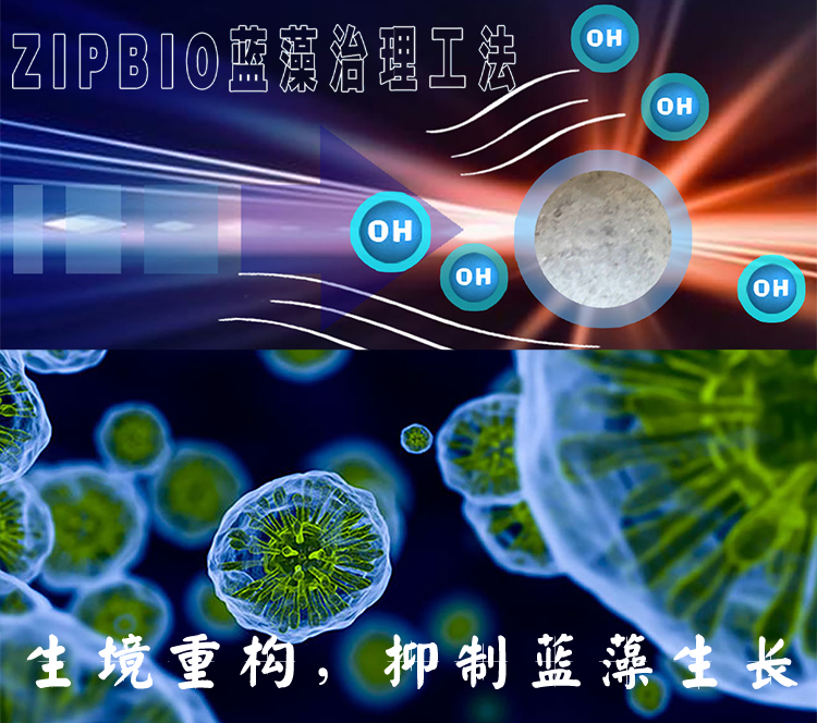 生境重构抑制蓝藻生长