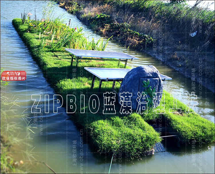 ZIPBIO蓝藻治理工.jpg