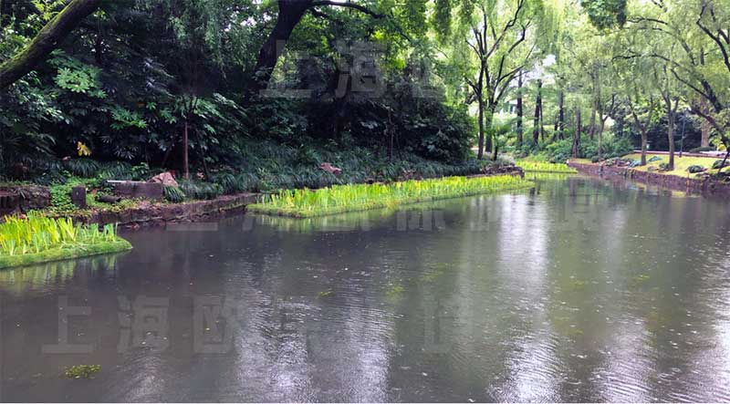 浮田型漂浮湿地（浮动湿地）应用于河道——植物覆盖面大，水生植物实现全覆盖