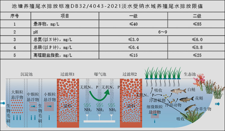 水产养殖尾水处理，三池两坝工艺