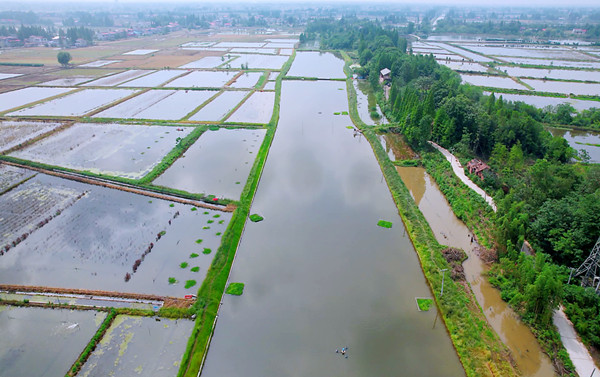 再生滤坝,三池两坝,养殖尾水 再生滤坝,三池两坝,养殖尾水
