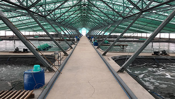 可再生滤坝,三池两坝,海水养殖尾水,养殖尾水 可再生滤坝,三池两坝,海水养殖尾水,养殖尾水