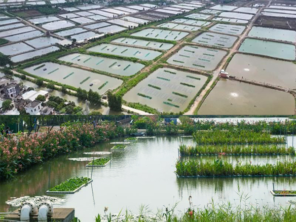 可再生滤坝,三池两坝,治理养殖尾水 可再生滤坝,三池两坝,治理养殖尾水
