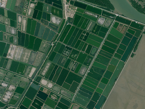 养殖尾水治理 养殖尾水治理