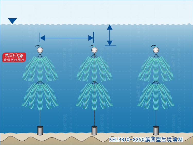 簇团型生境填料（KELPBIO-S250）
