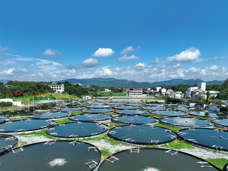 将“源头控制”与“末端治理”完美结合的养殖尾水综合治理方案：以可再生滤坝为基础的三池两坝工艺