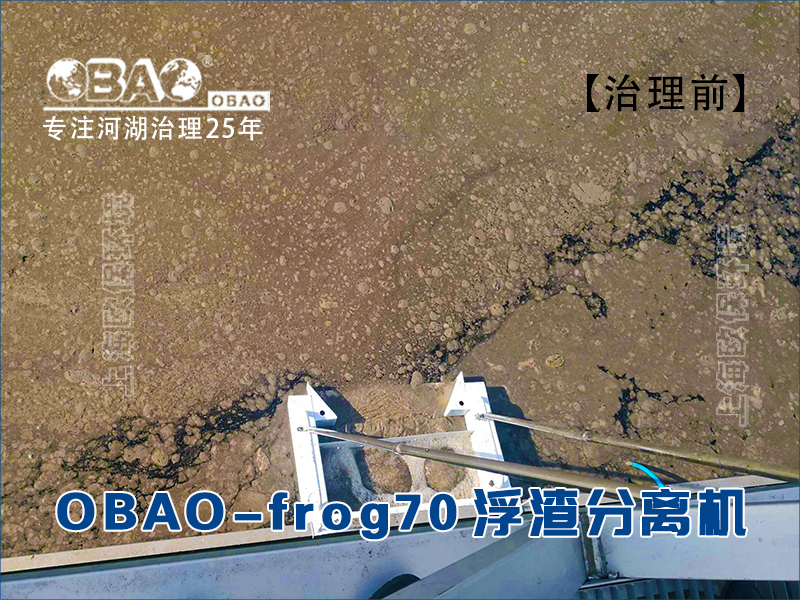 OBAO-frog70浮泥收集浮渣分离机,使用浮渣分离机进行浮泥打捞前,浮泥覆盖水面 OBAO-frog70浮泥收集浮渣分离机,使用浮渣分离机进行浮泥打捞前,浮泥覆盖水面