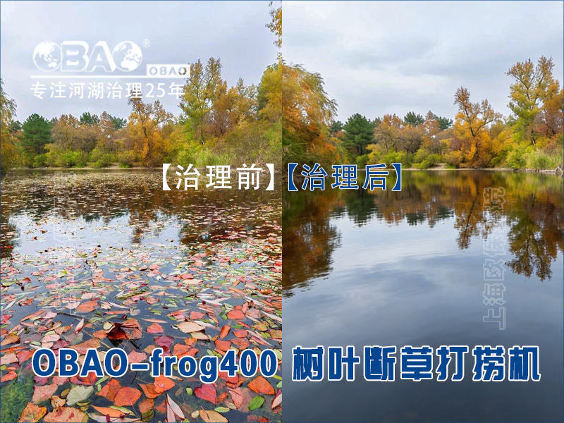 使用OBAO-frog400树叶断草打捞机前后效果