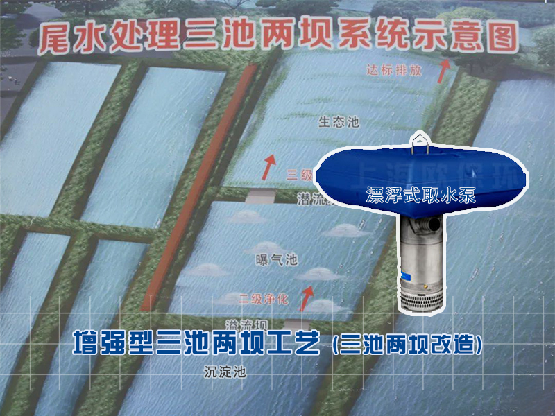三池两坝改造-漂浮式取水泵