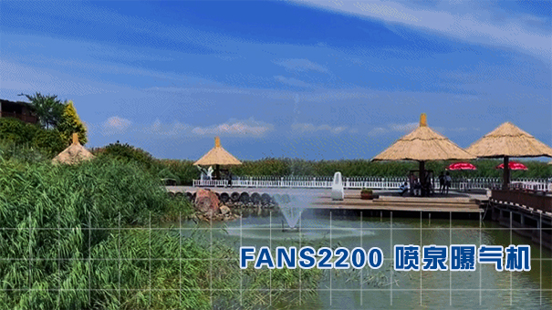 FANS2200浮水喷泉曝气机不仅能提升水体水质，也能提升景观效果